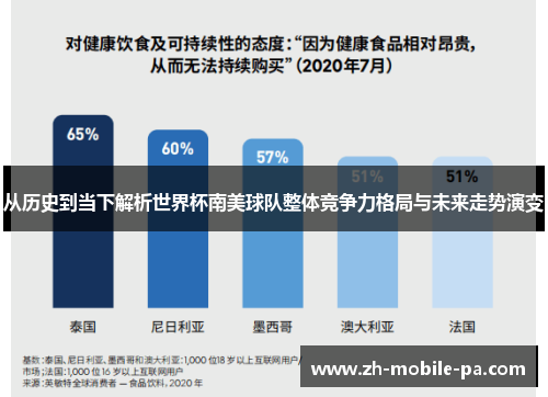 从历史到当下解析世界杯南美球队整体竞争力格局与未来走势演变